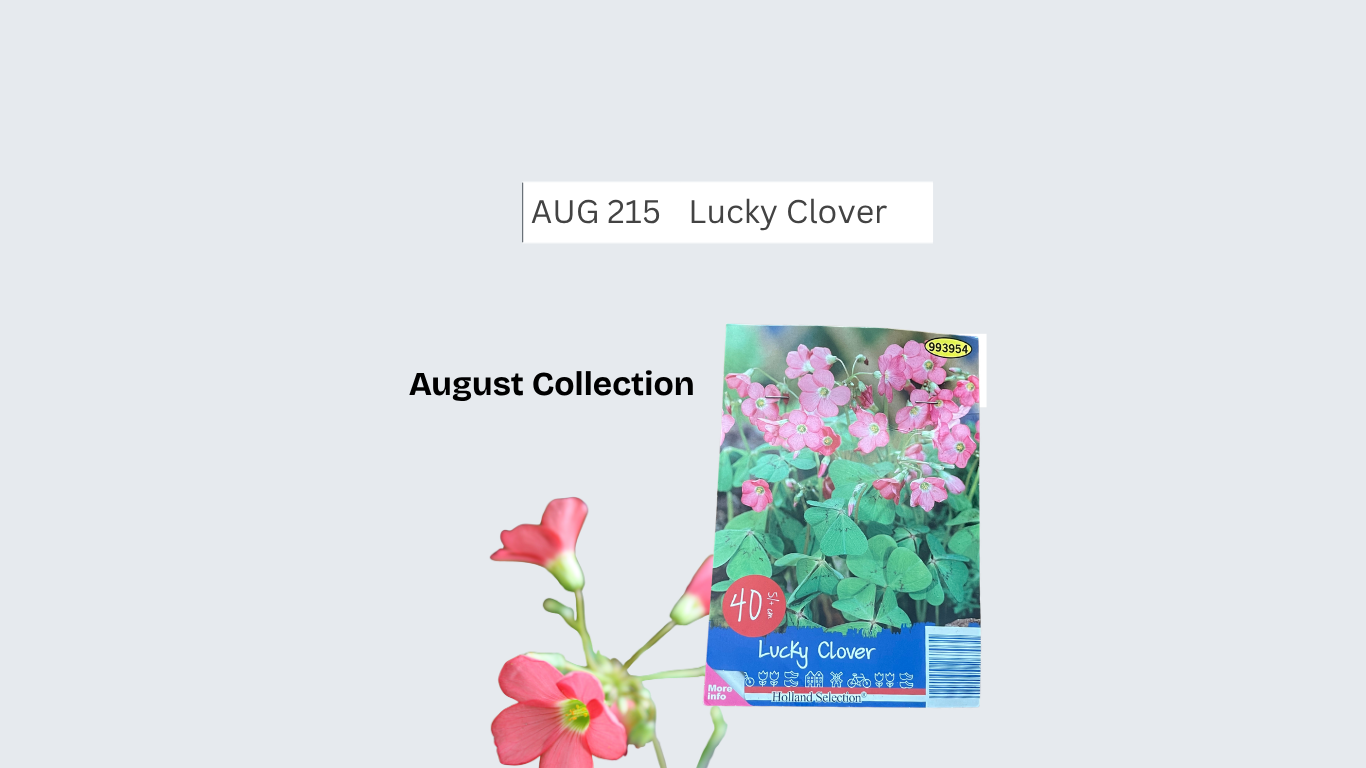 Lucky Clover