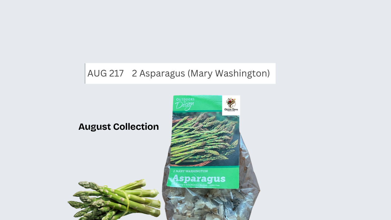 Asparagus (Mary Washington)