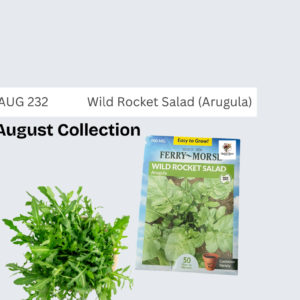 Wild Rocket Salad (Arugula)