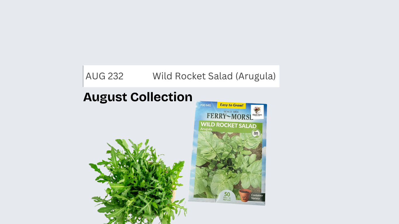 Wild Rocket Salad (Arugula)