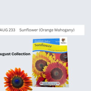 Sunflower (Orange Mahogany)