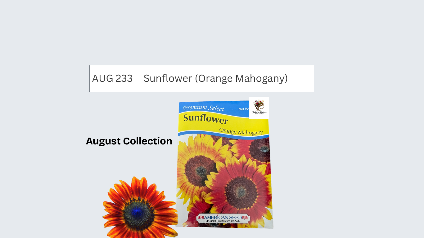 Sunflower (Orange Mahogany)