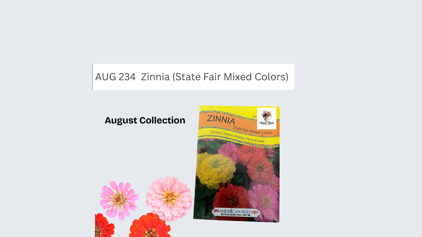 Zinnia (State Fair Mixed Colors)