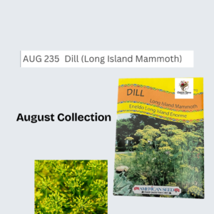 Dill (Long Island Mammoth)