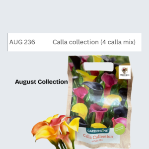 Calla collection (4 calla mix)