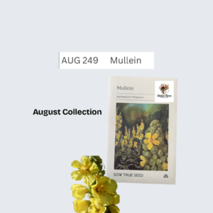 Mullein
