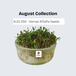 Vernal Alfalfa Seeds
