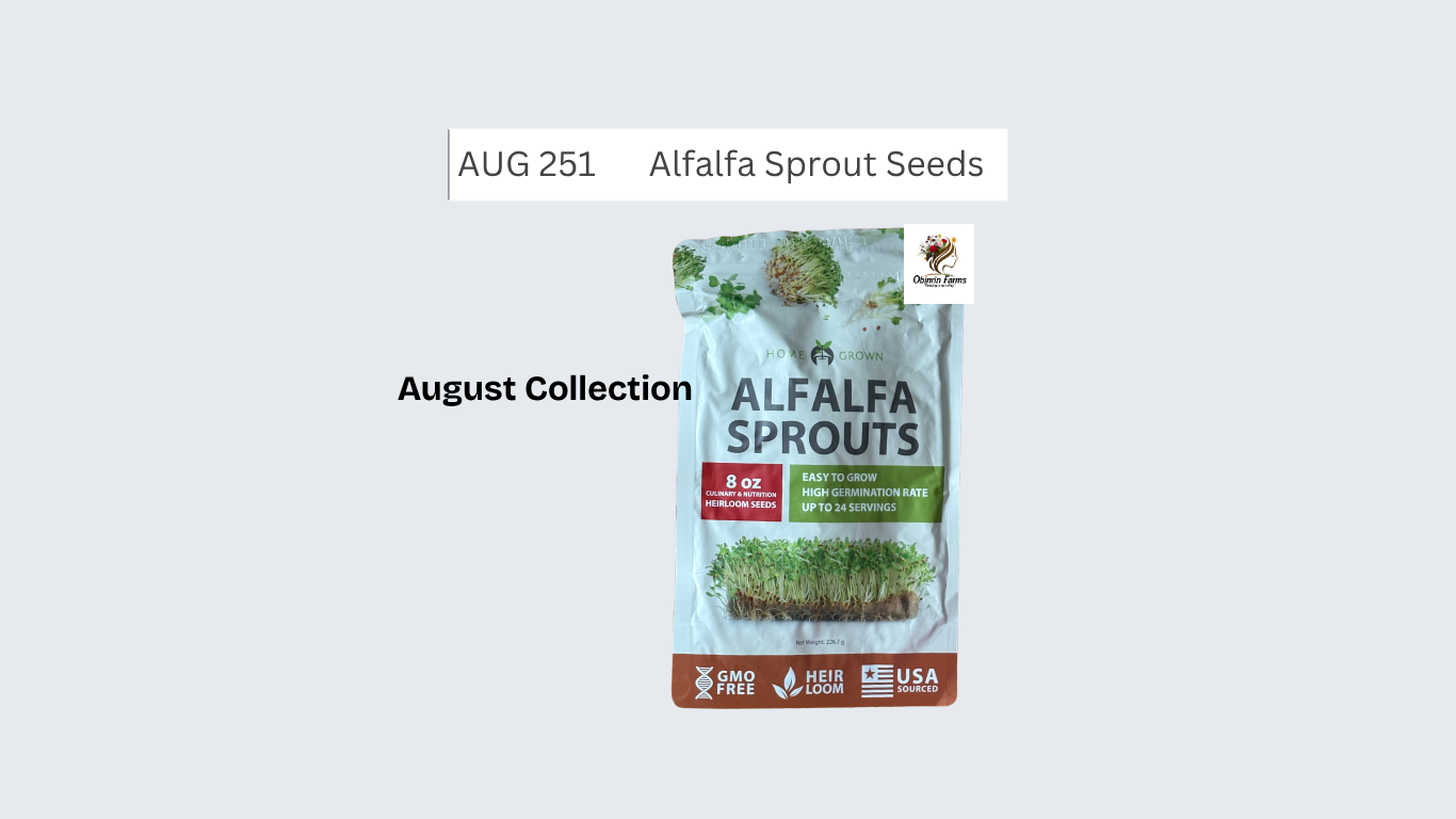 Alfalfa Sprout Seeds