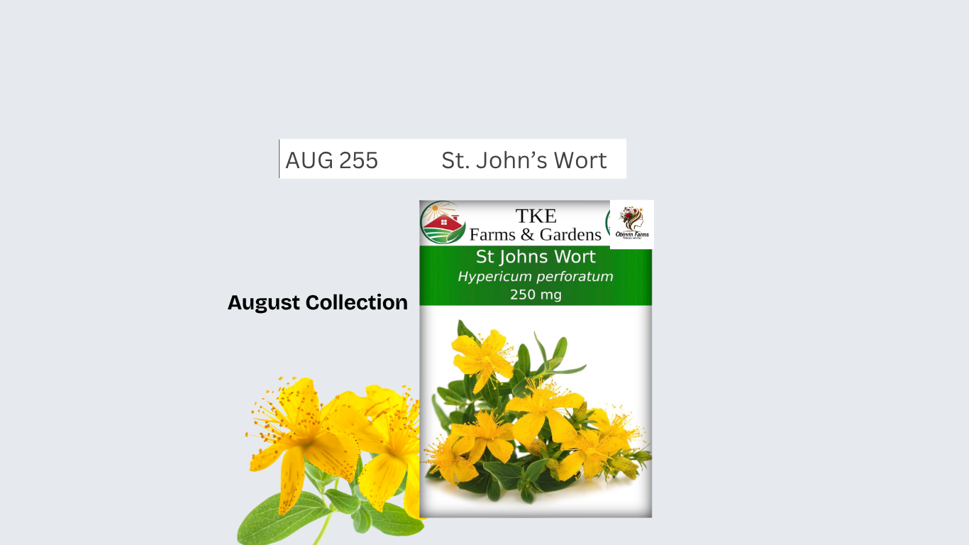 St. John’s Wort