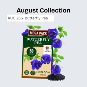 Butterfly Pea