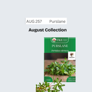 Purslane