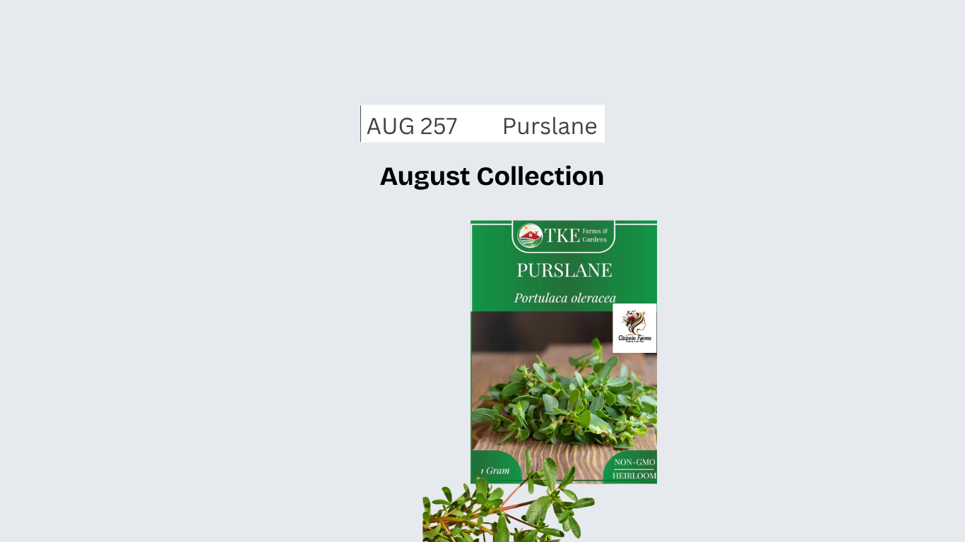 Purslane