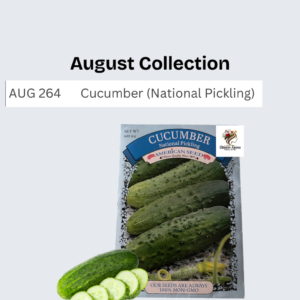 Cucumber (National Pickling)