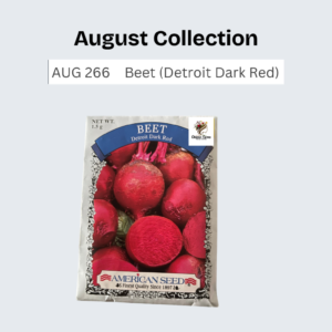 Beet (Detroit Dark Red)