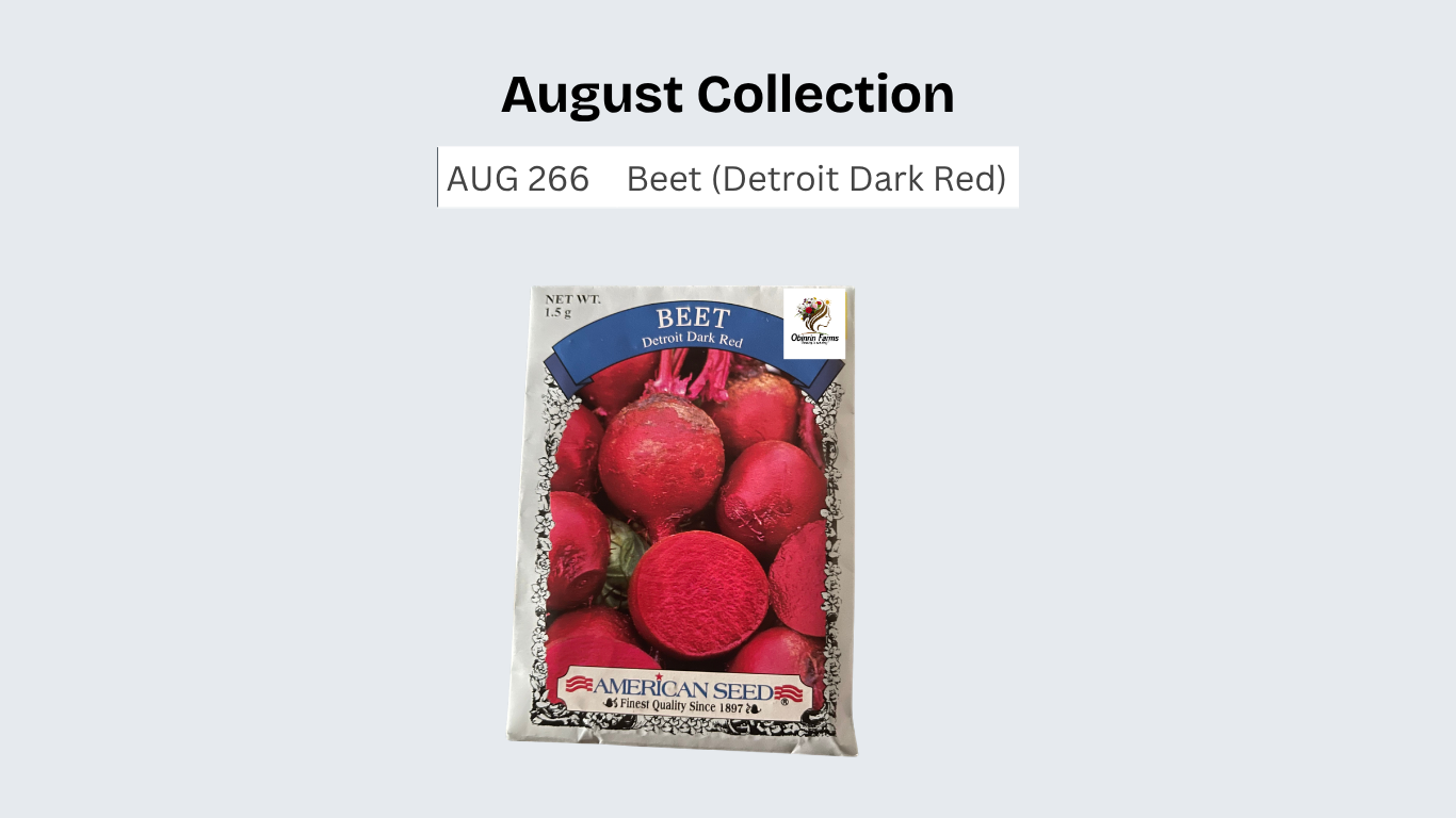 Beet (Detroit Dark Red)