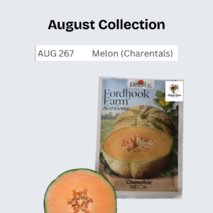 Melon (Charentals)