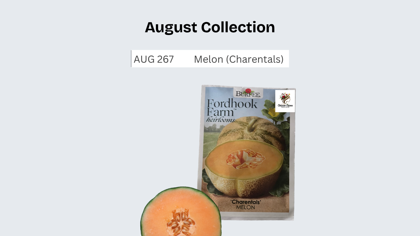 Melon (Charentals)