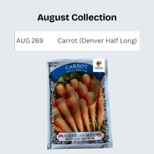 Carrot (Denver Half Long)