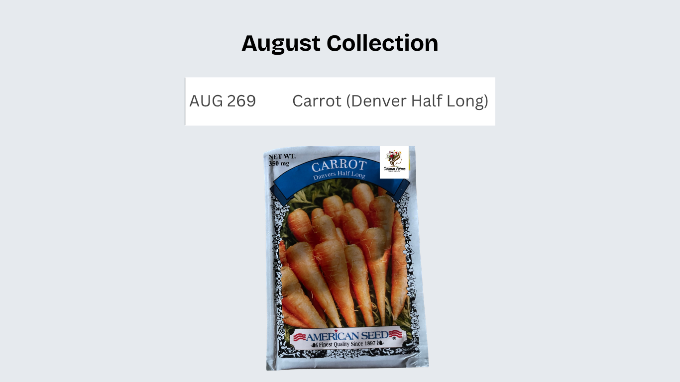 Carrot (Denver Half Long)