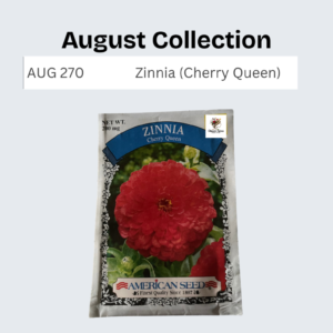 Zinnia (Queen Cherry)