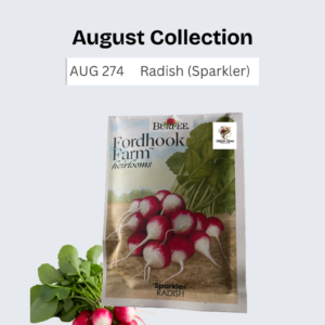 Radish (Sparkler)
