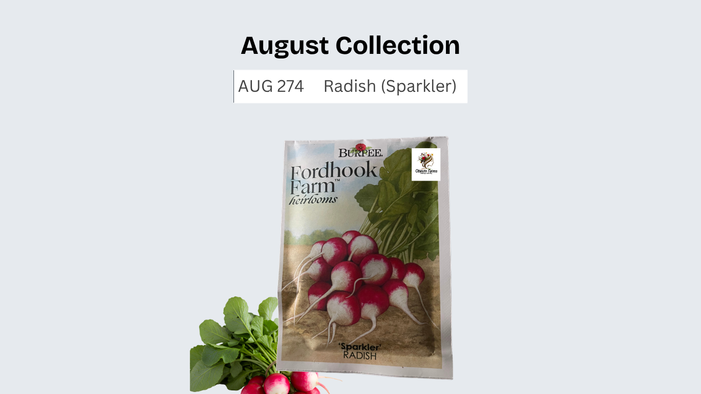 Radish (Sparkler)