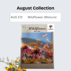 Wildflower (Mixture)