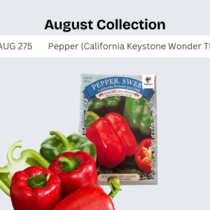 Pepper (California Wonder 300 TMR)
