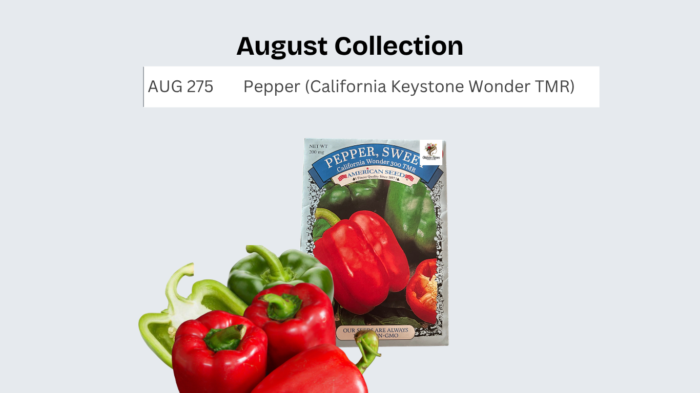 Pepper (California Wonder 300 TMR)