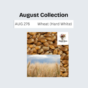 Wheat (Hard White)