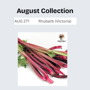 Rhubarb (Victoria)
