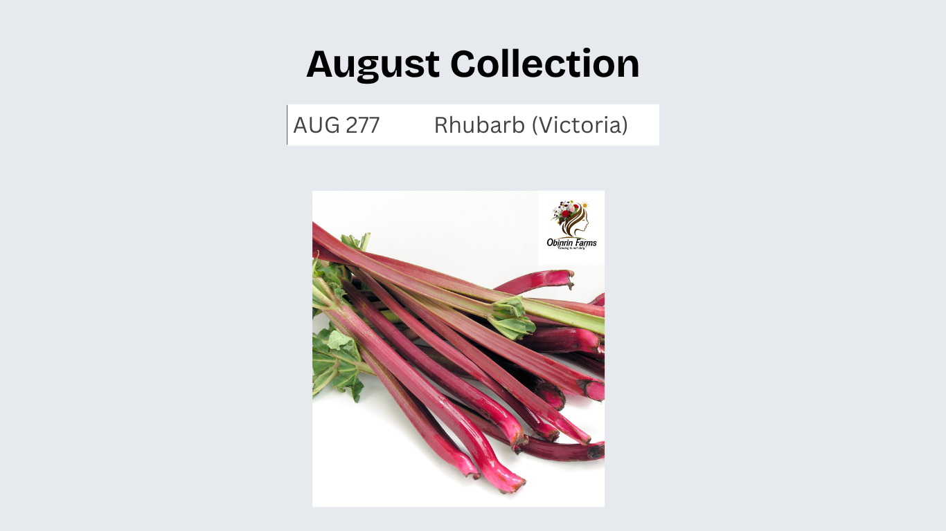 Rhubarb (Victoria)