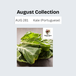 Kale (Portuguese)