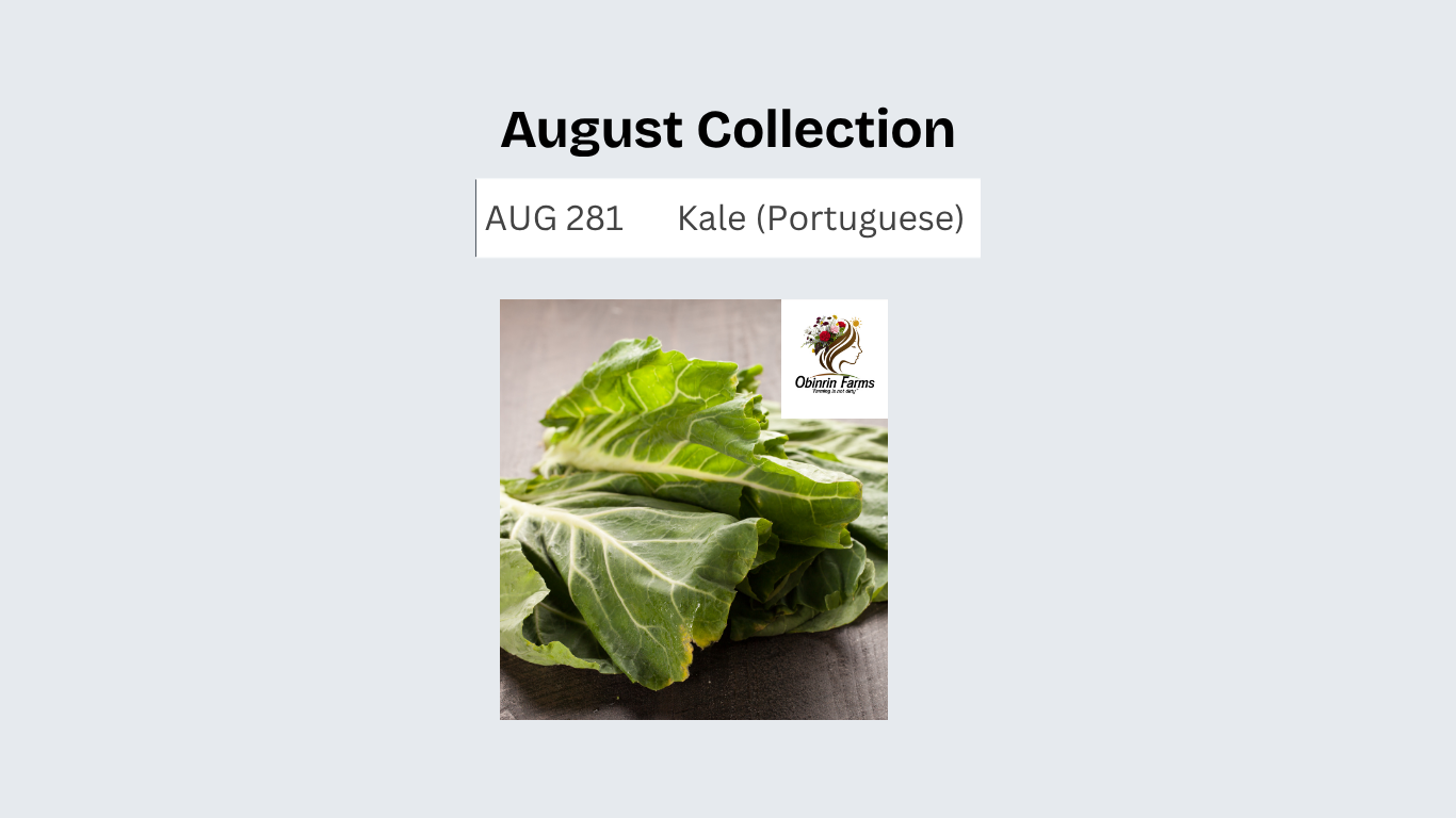 Kale (Portuguese)