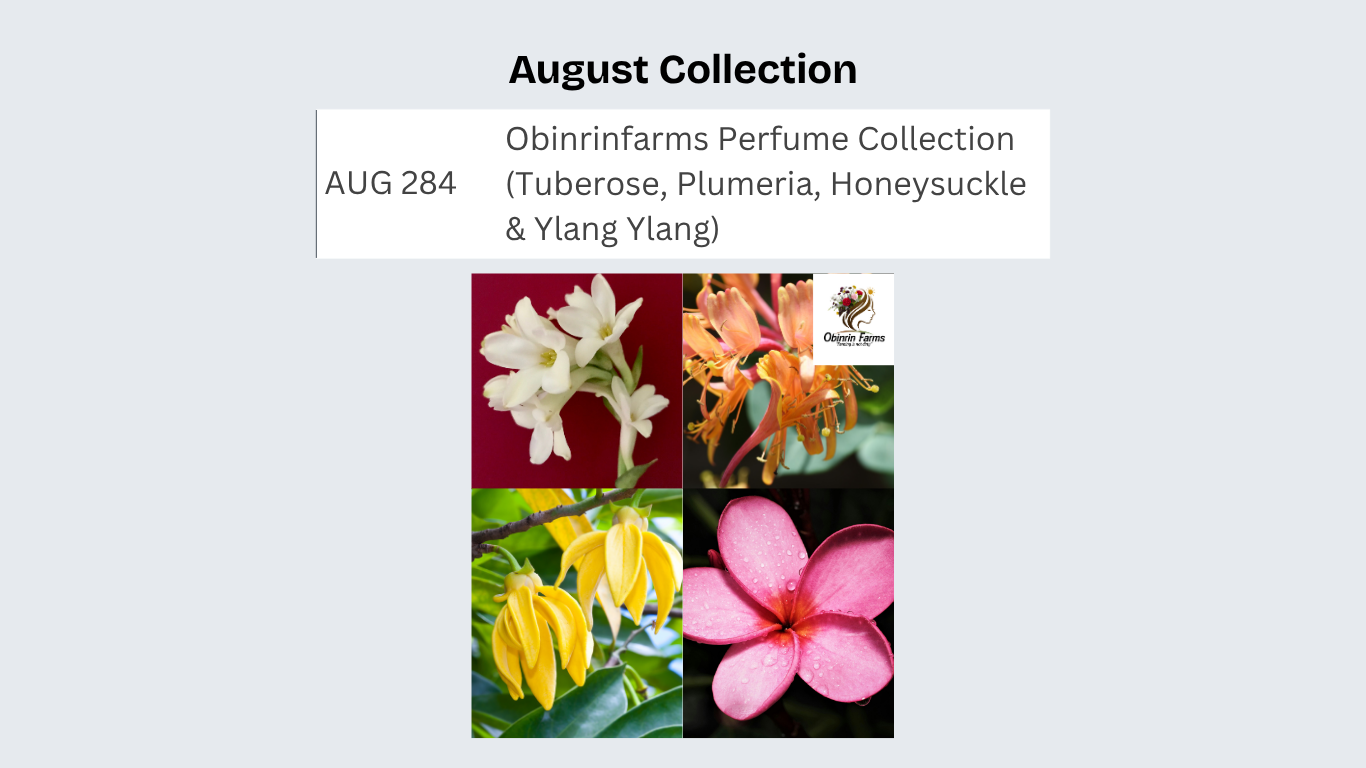 Obinrinfarms Perfume Collection (Tuberose, Plumeria, Honeysuckle & Ylang Ylang)