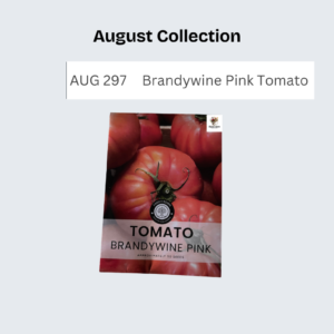 Brandywine Pink Tomato