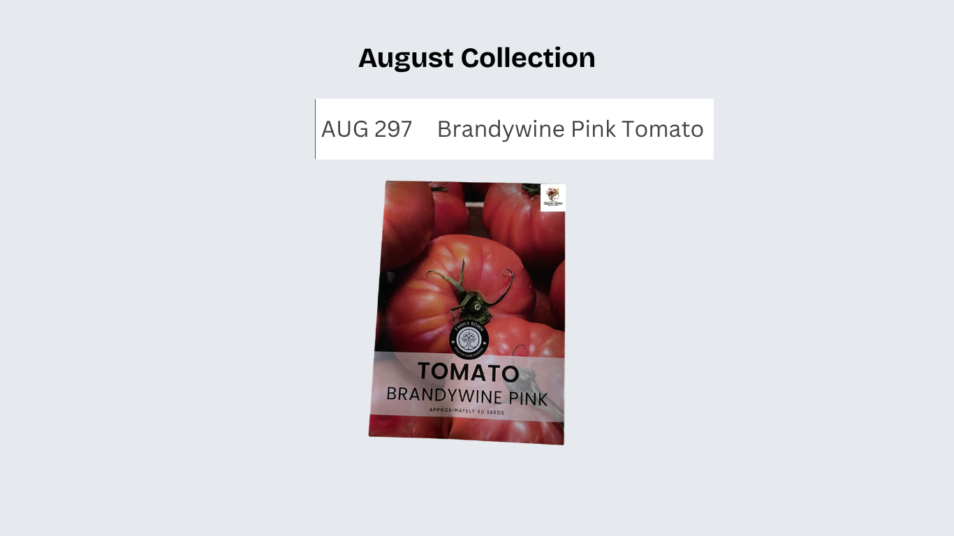 Brandywine Pink Tomato
