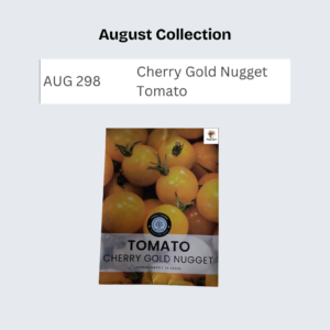 Cherry Gold Nugget Tomato