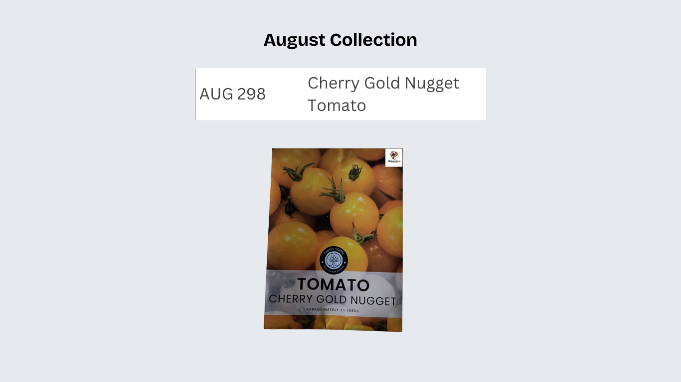 Cherry Gold Nugget Tomato