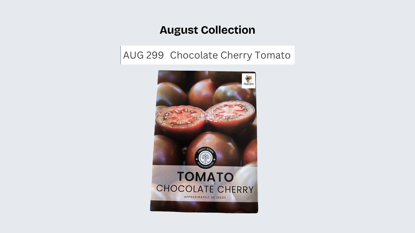 Chocolate Cherry Tomato