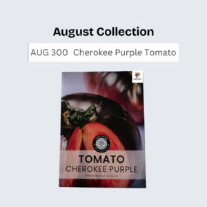 Cherokee Purple Tomato