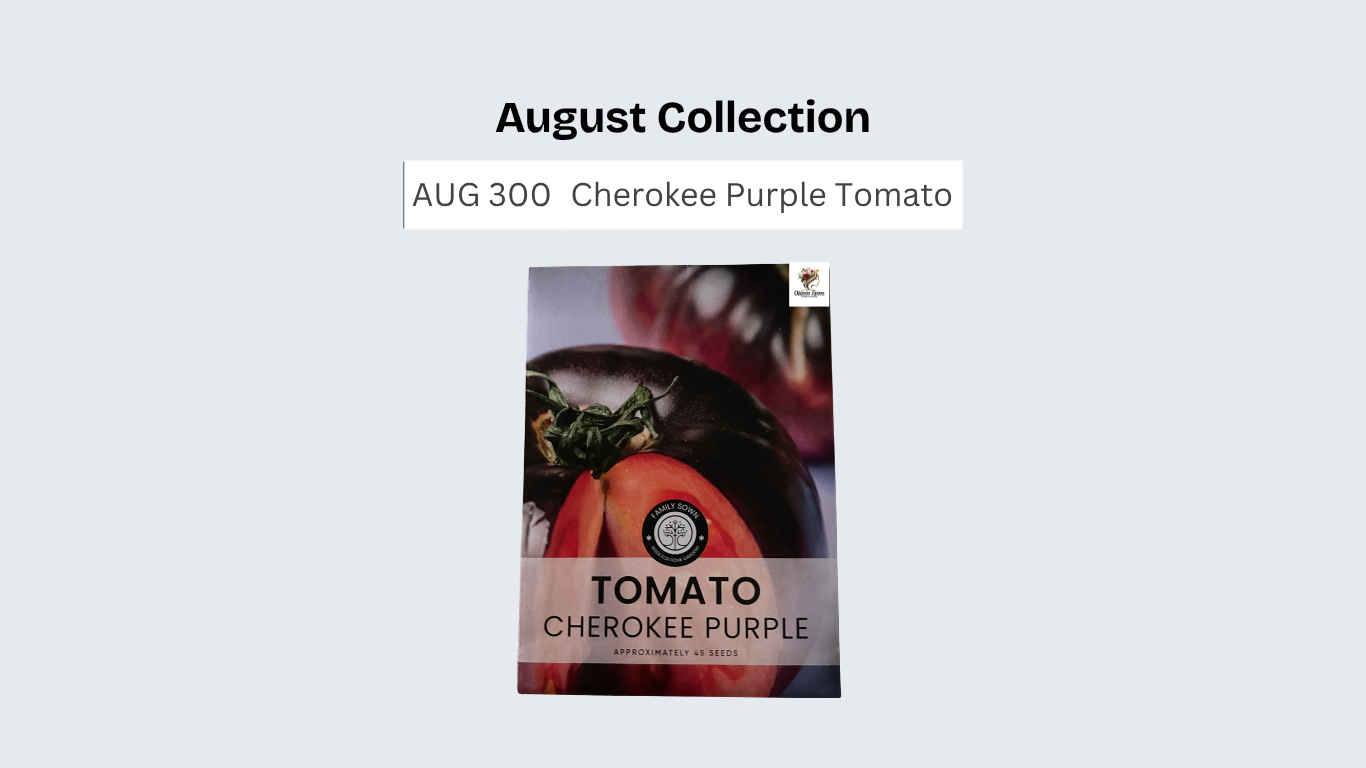 Cherokee Purple Tomato