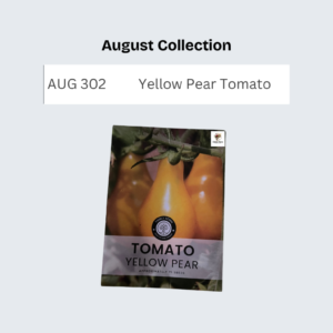 Yellow Pear Tomato