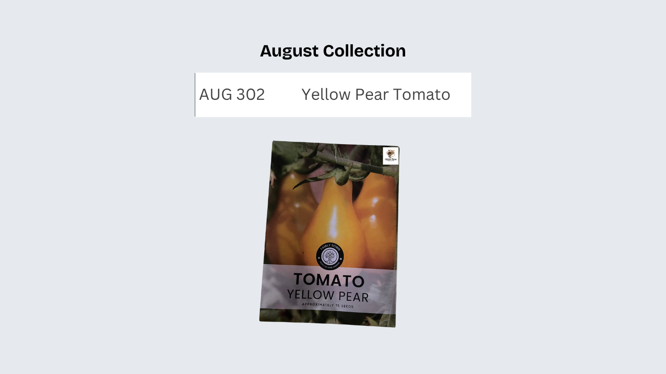 Yellow Pear Tomato