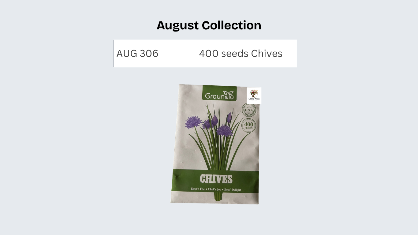 400 seeds Chives