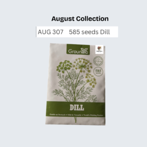 585 seeds Dill