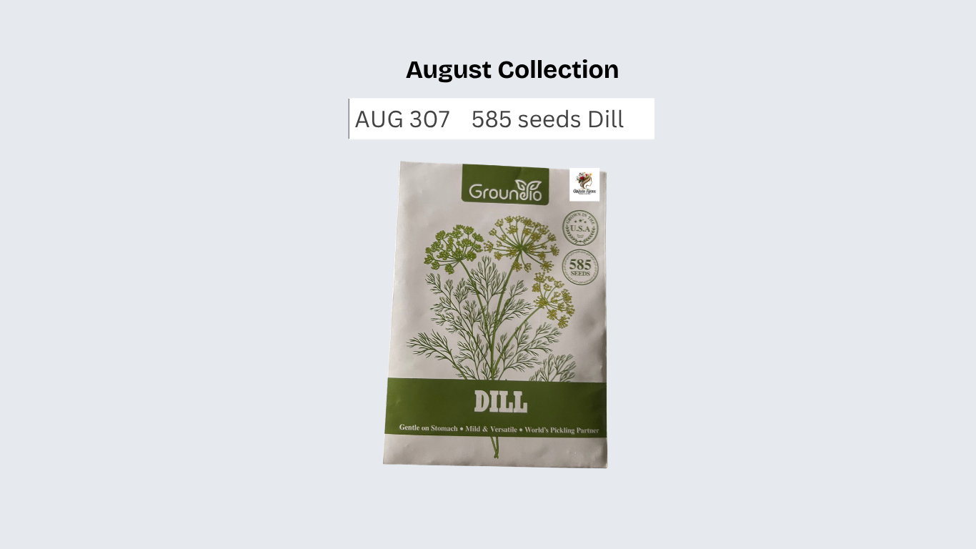 585 seeds Dill