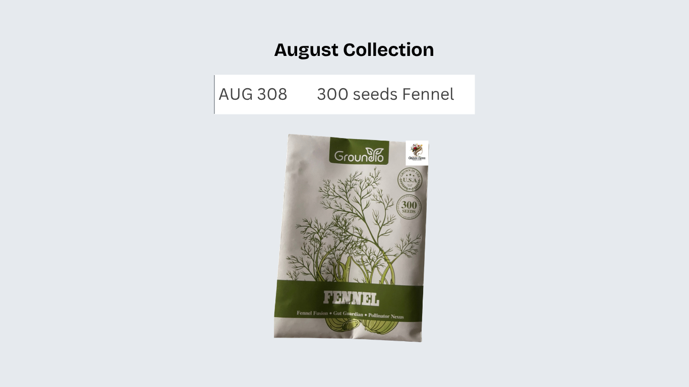300 seeds Fennel