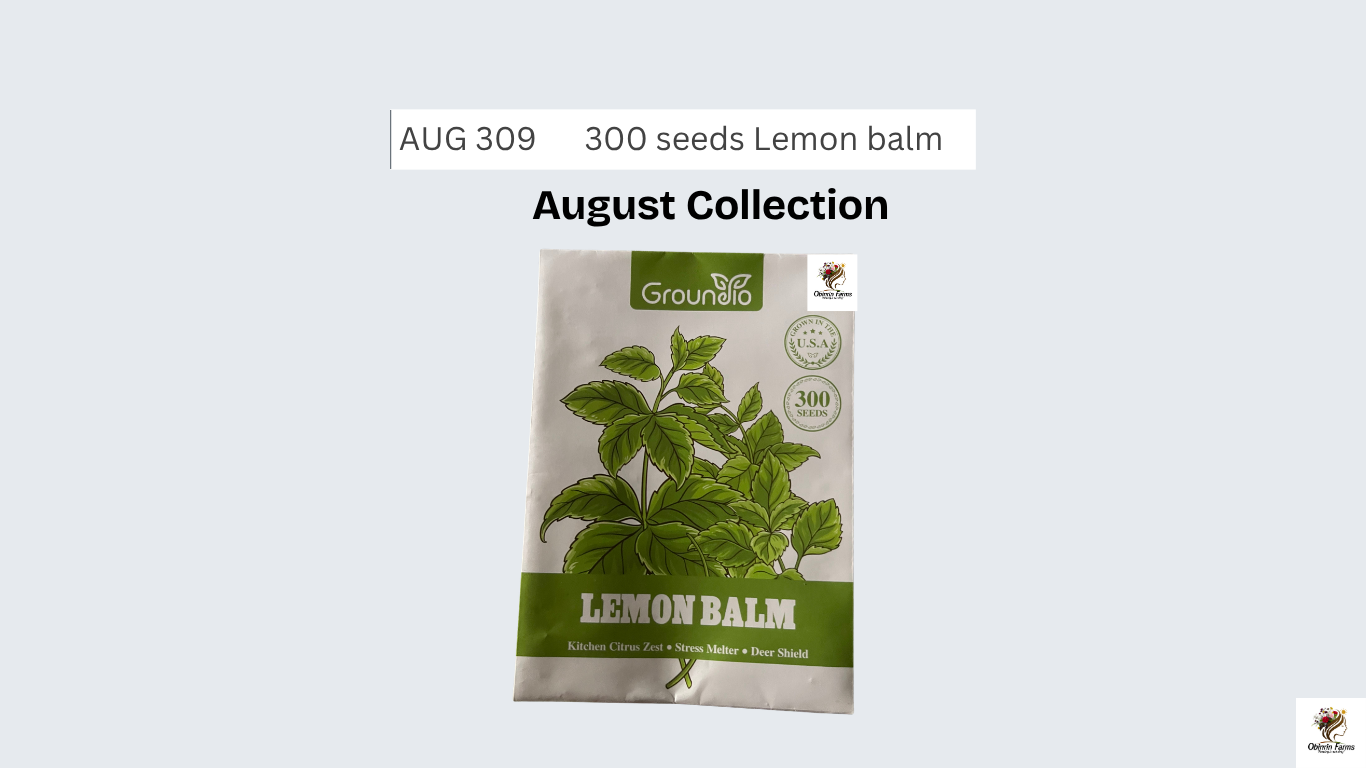 300 seeds Lemon balm