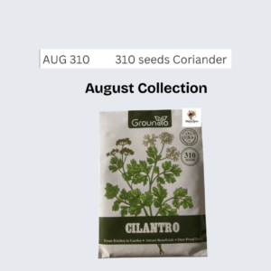 310 seeds Coriander